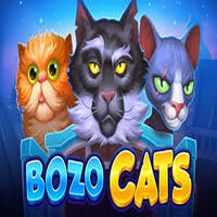 Bozo Cats-PLAYSON